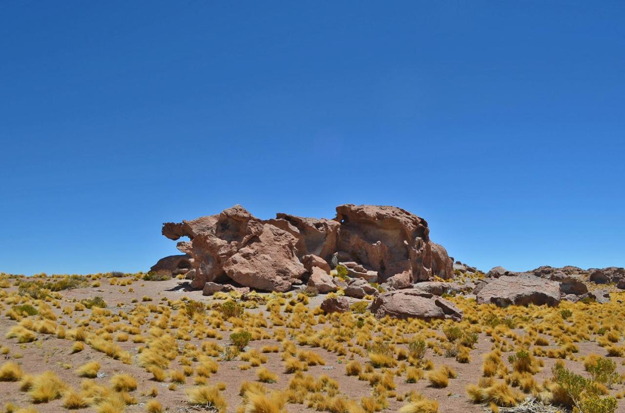 Ckuri Atacama Hotel San Pedro de Atacama Eksteriør billede