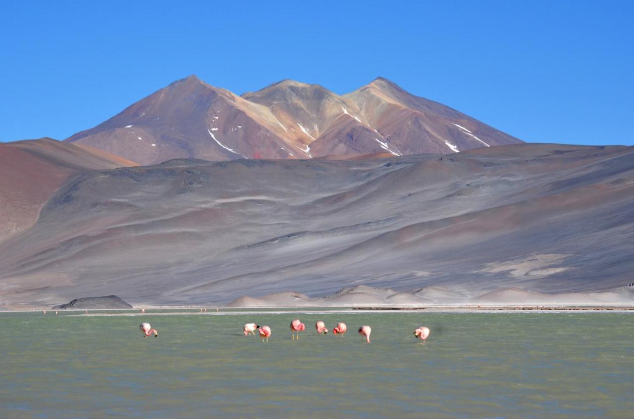 Ckuri Atacama Hotel San Pedro de Atacama Eksteriør billede